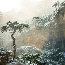 Cross stitch pattern: #205263