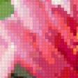 Preview of cross stitch pattern: #206172