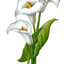 Cross stitch pattern: #206286