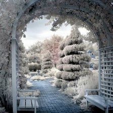 Cross stitch pattern: #206567