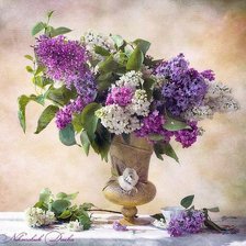 Cross stitch pattern: #206825