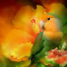Cross stitch pattern: #206895