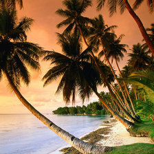 Cross stitch pattern: #206902