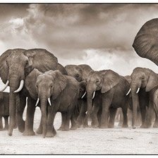 Cross stitch pattern: #207408