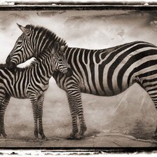 Cross stitch pattern: #207409