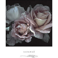 Cross stitch pattern: #207457