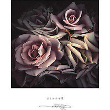 Cross stitch pattern: #207459