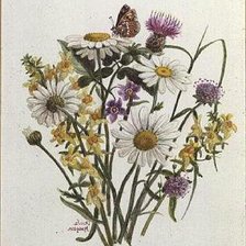 Cross stitch pattern: #207460