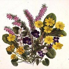 Cross stitch pattern: #207470