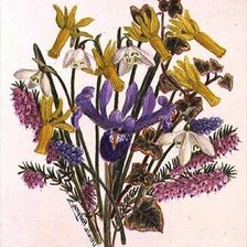 Cross stitch pattern: #207473