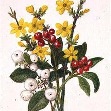 Cross stitch pattern: #207478