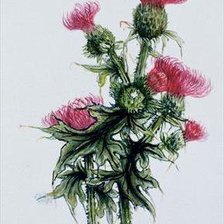 Cross stitch pattern: #207491