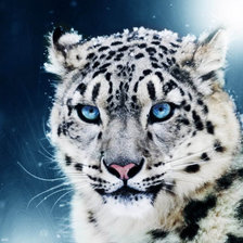 Cross stitch pattern: #207542