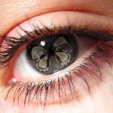 Cross stitch pattern: #207549