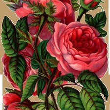 Cross stitch pattern: #208366