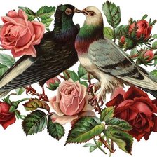 Cross stitch pattern: #208378