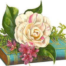Cross stitch pattern: #209277