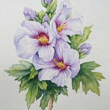 Cross stitch pattern: #209351