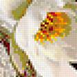 Preview of cross stitch pattern: #212114