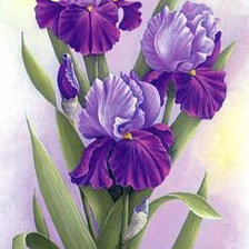 Cross stitch pattern: #213458