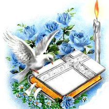 Cross stitch pattern: #213465