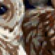 Preview of cross stitch pattern: #213802