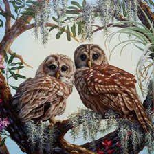 Cross stitch pattern: #213802