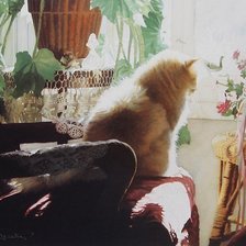 Cross stitch pattern: #214563