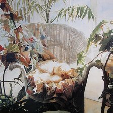 Cross stitch pattern: #214568