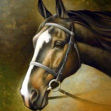 Cross stitch pattern: #214823