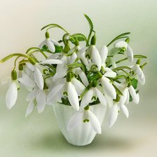 Cross stitch pattern: #214924