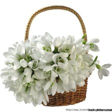 Cross stitch pattern: #214939