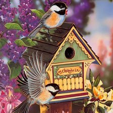 Cross stitch pattern: #214940