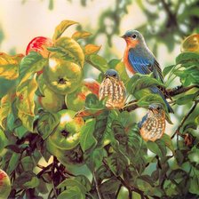 Cross stitch pattern: #214947