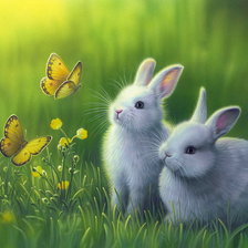 Cross stitch pattern: #215013