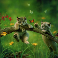 Cross stitch pattern: #215014