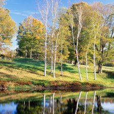 Cross stitch pattern: #216182