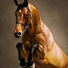 Cross stitch pattern: #216954