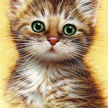 Cross stitch pattern: #217010