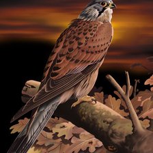 Cross stitch pattern: #217060