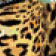 Preview of cross stitch pattern: #217721