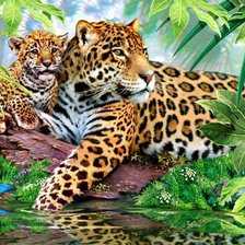Cross stitch pattern: #217721