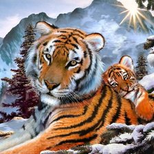 Cross stitch pattern: #217732