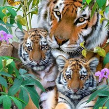 Cross stitch pattern: #217741
