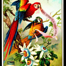 Cross stitch pattern: #218055