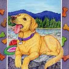 Cross stitch pattern: #218073