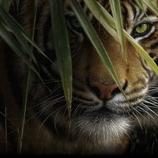 Cross stitch pattern: #218965