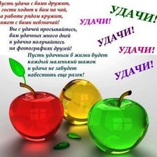 Cross stitch pattern: #219973