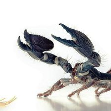 Cross stitch pattern: #219974