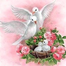 Cross stitch pattern: #220252